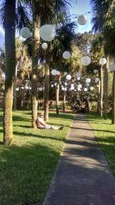 Christmas, palm tree, sun.