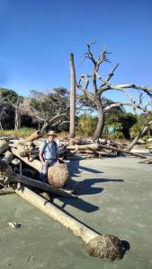 IMG_20151114_143900114_HDR