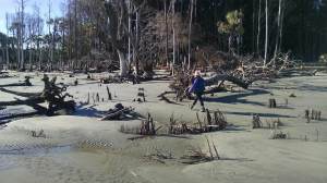 IMG_20151114_150537621