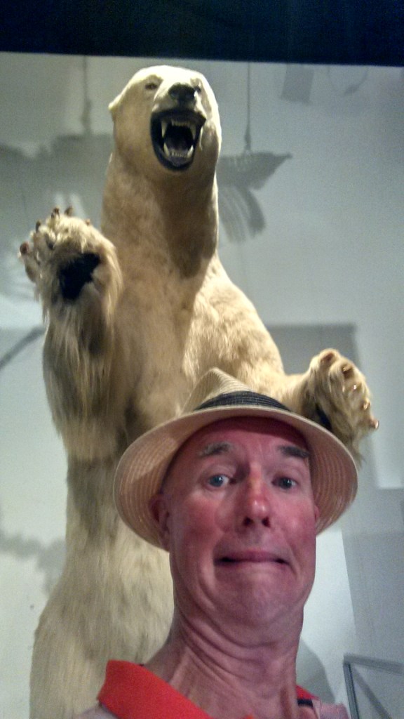 IMG_20151116_150349404_HDR