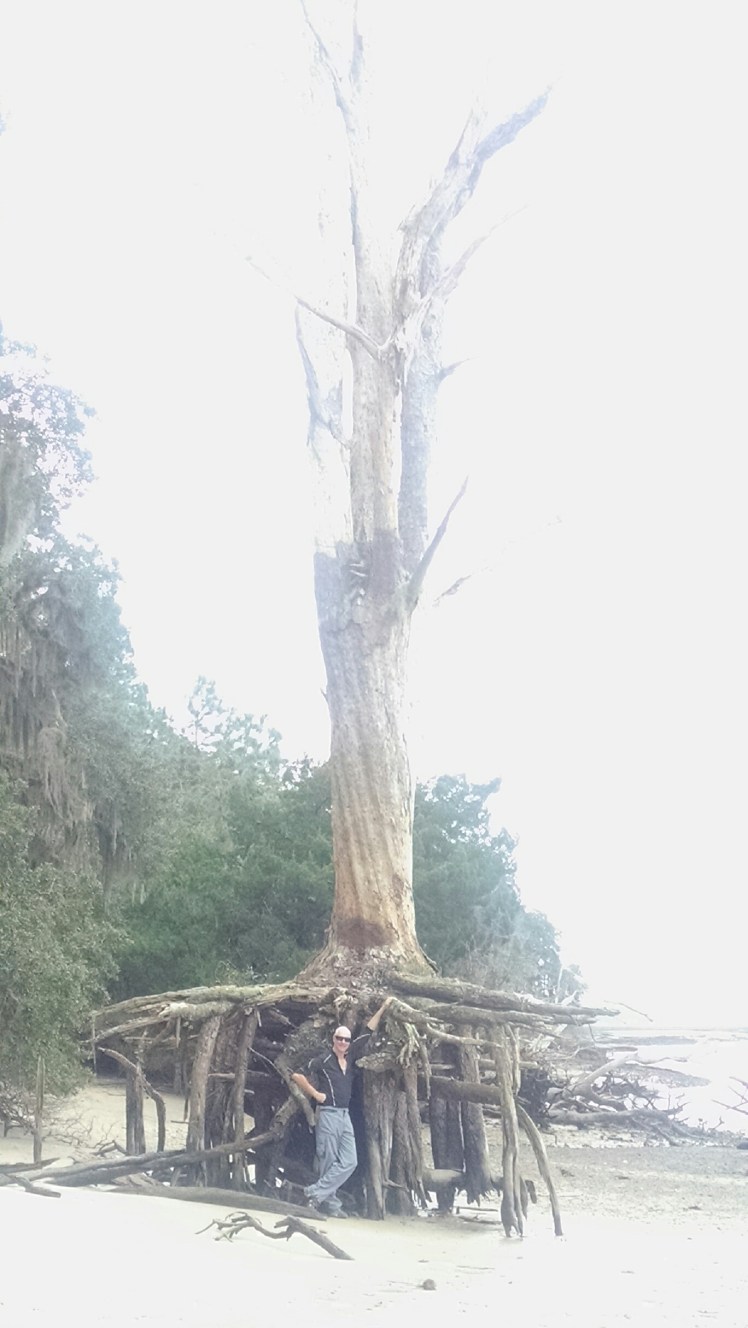 IMG_20151127_152643017