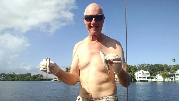 IMG_20151226_111101537