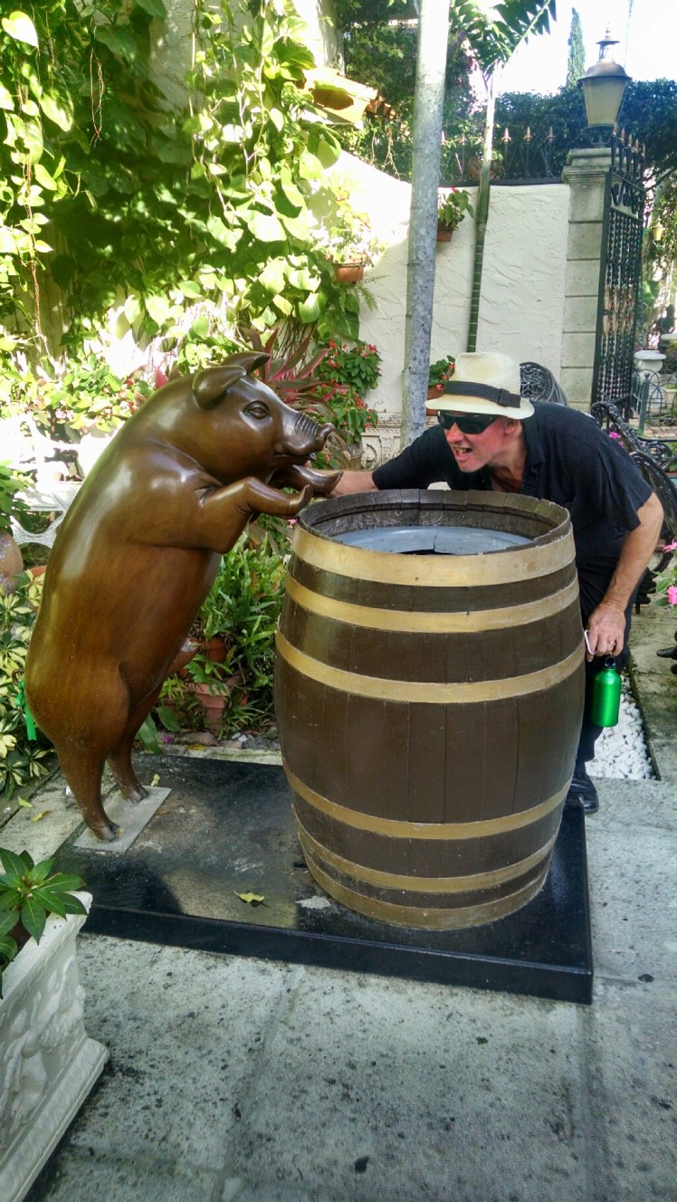 IMG_20160126_153641482_HDR