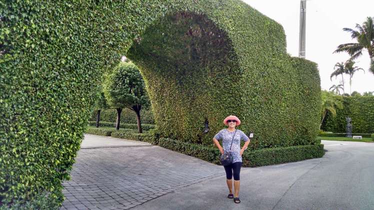 IMG_20160203_155547386_HDR