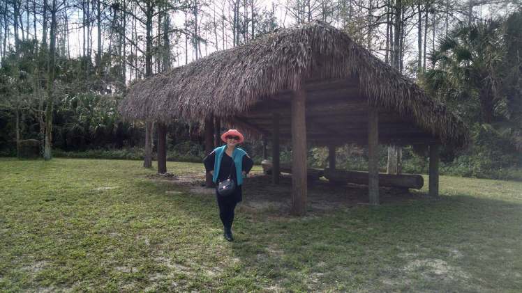 IMG_20160208_143333629_HDR