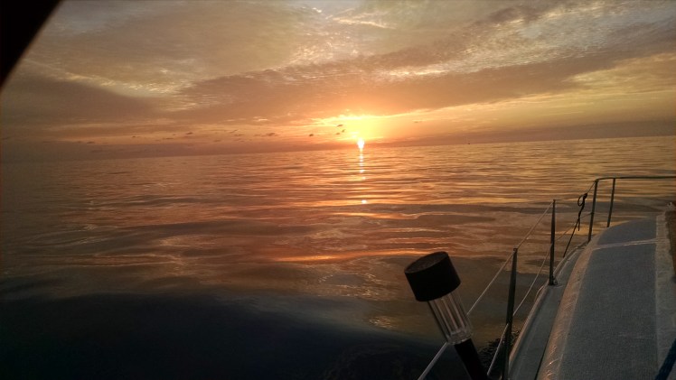 IMG_20160302_064013545