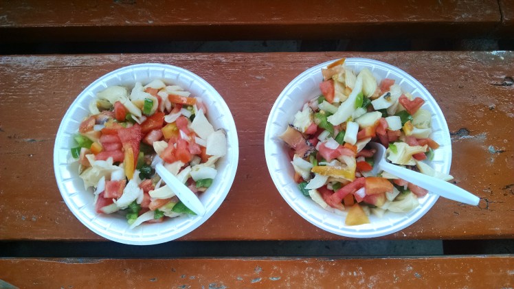 IMG_20160305_161750645