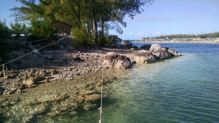 IMG_20160308_155725598