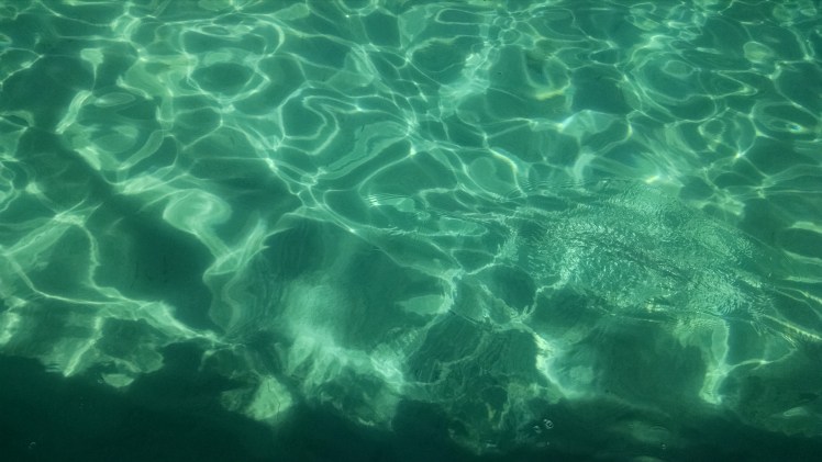 IMG_20160316_113913302