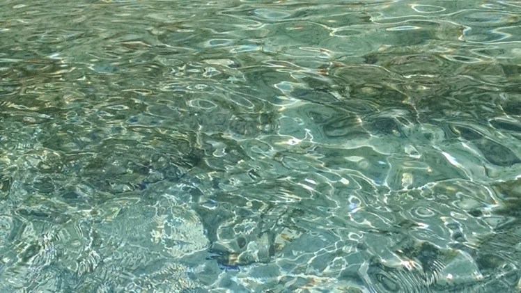 IMG_20160331_144623205