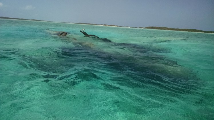 IMG_20160401_141254873