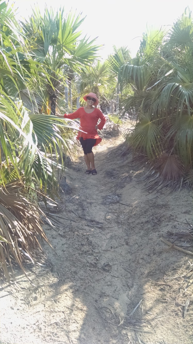 IMG_20160405_095123532