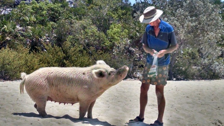 IMG_20160423_131506638_HDR