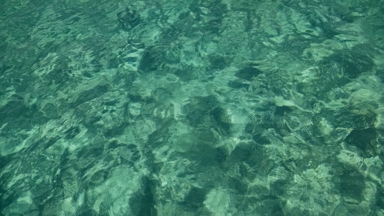 IMG_20160425_092626679