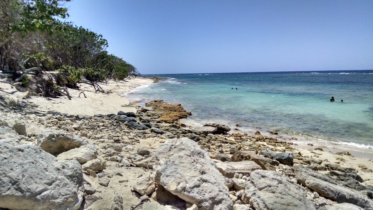 IMG_20160618_135152793_HDR-1