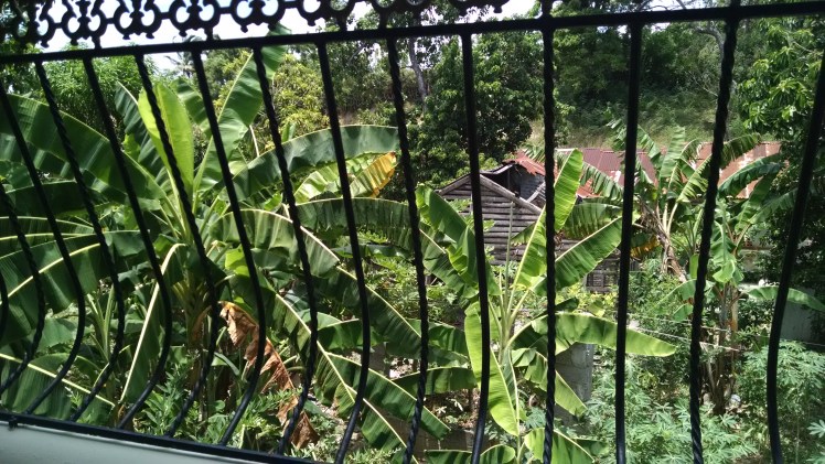 IMG_20160623_121551630