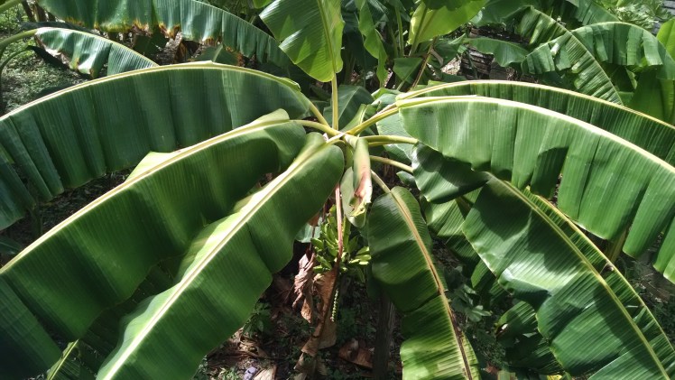 IMG_20160827_103217212