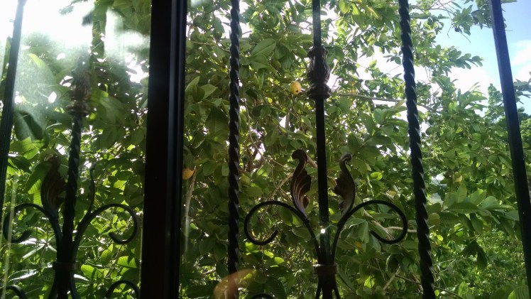 img_20160922_161033399