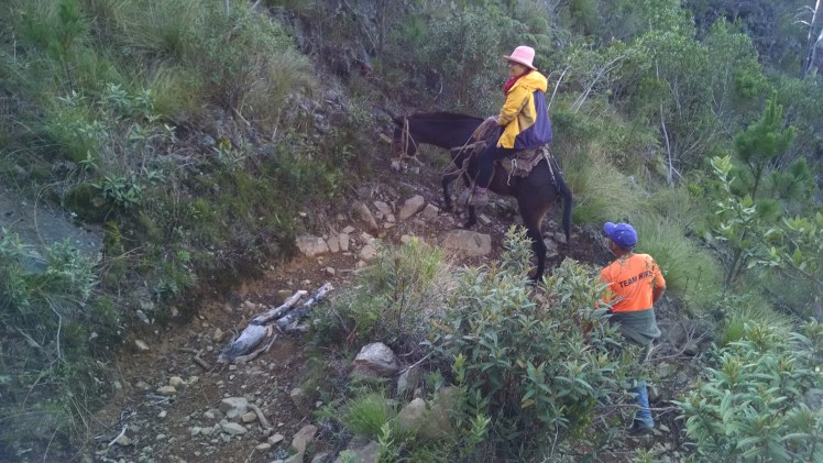 img_20161010_080050453