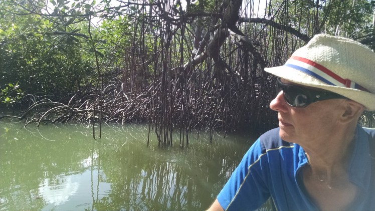 img_20161214_111947361