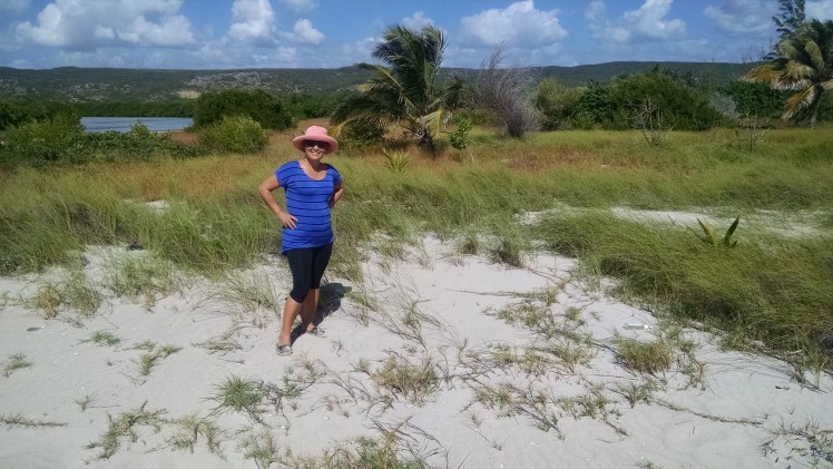 img_20161229_115715337