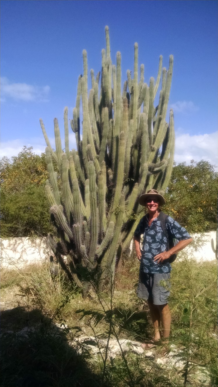 img_20170101_115848571