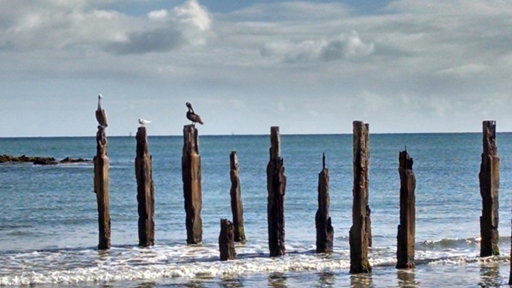 img_20170112_154244702_hdr01