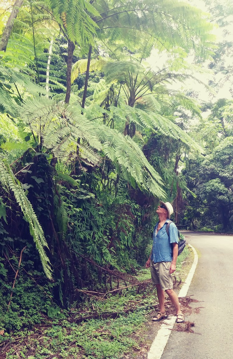 20170807_132444_Film1