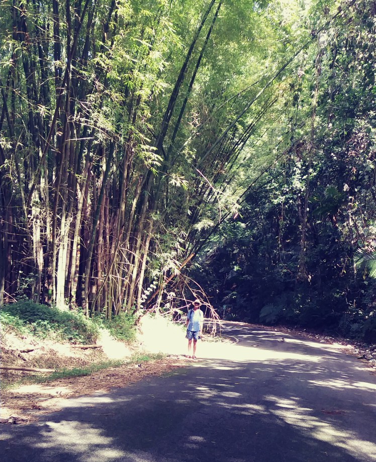 20170807_150259_Film1