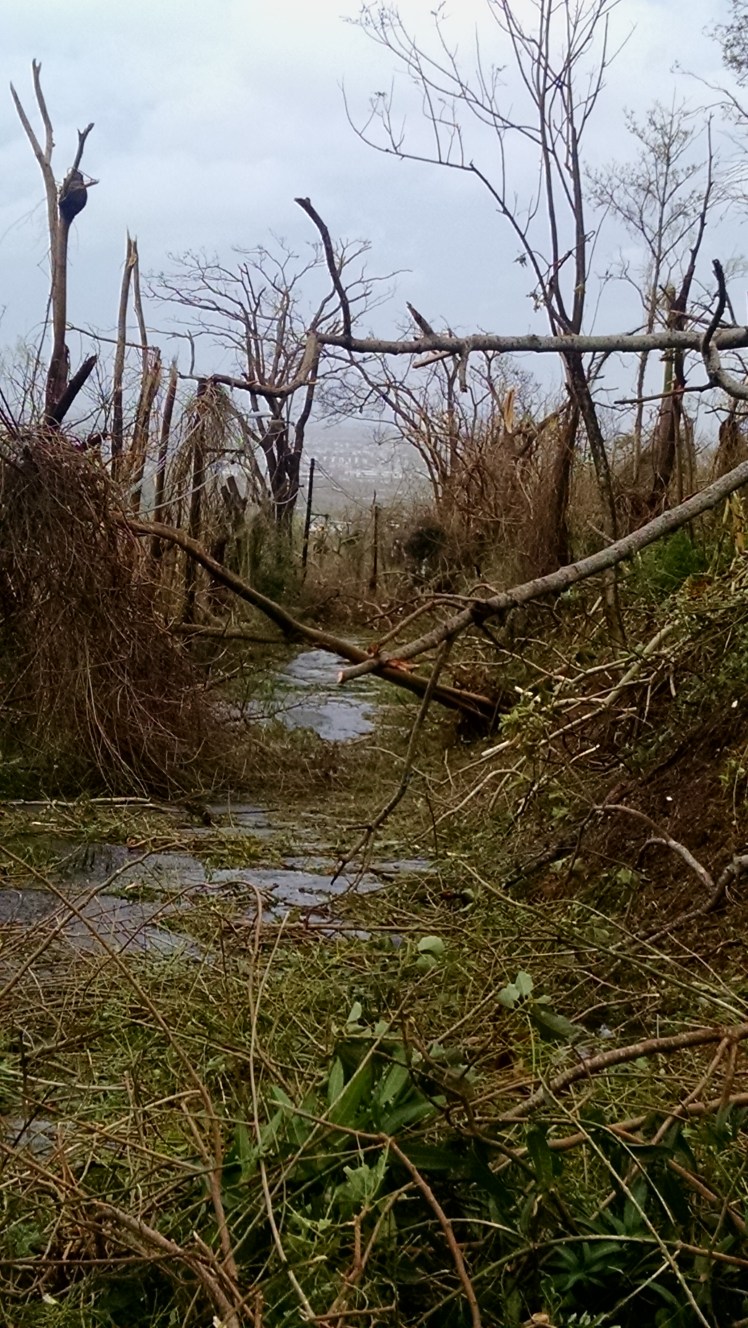 IMG_20170920_170350927