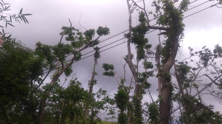 20171125_104635_Burst01